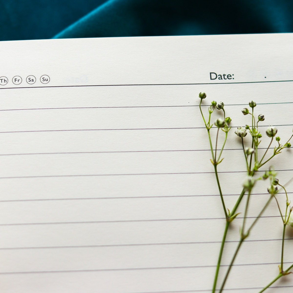 Momentum Notebook - Image 3